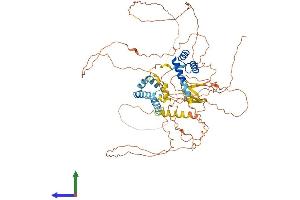 AlphaFold protein structure predicition of Human Recombinant POU6F2 Protein, UniprotID P78424