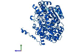 AlphaFold protein structure predicition of Human Recombinant UROC1 Protein, UniprotID Q96N76