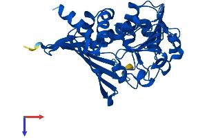 AlphaFold protein structure predicition of Mouse Recombinant Crym Protein, UniprotID O54983