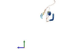AlphaFold protein structure predicition of Mouse Recombinant Krt36 Protein, UniprotID B1AQ75