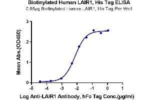 Immobilized Biotinylated Human LAIR1, His Tag at 0.
