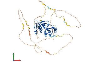 AlphaFold protein structure predicition of Human Recombinant SH3BP2 Protein, UniprotID P78314