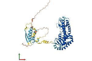AlphaFold protein structure predicition of Human Recombinant TCAIM Protein, UniprotID Q8N3R3