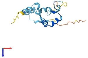 AlphaFold protein structure predicition of Human Recombinant ZNF593 Protein, UniprotID O00488