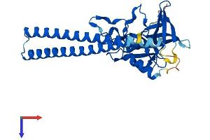 AlphaFold protein structure predicition of Mouse Recombinant Sgf29 Protein, UniprotID Q9DA08