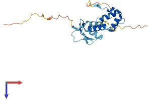 AlphaFold protein structure predicition of Human Recombinant SAP30L Protein, UniprotID Q9HAJ7