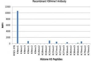 Recombinant H3K4me1 antibody specifically reacts to Histone H3 monomethylated at Lysine 4 (K4me1). (Recombinant Histone 3 anticorps  (meLys4))