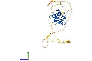 AlphaFold protein structure predicition of Human Recombinant SPIB Protein, UniprotID Q01892