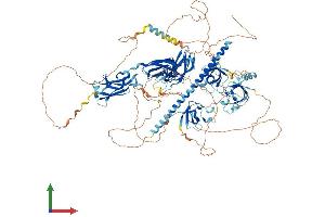 AlphaFold protein structure predicition of Human Recombinant RIMBP2 Protein, UniprotID O15034