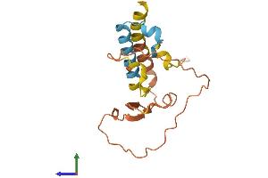 AlphaFold protein structure predicition of Human Recombinant KRBOX4 Protein, UniprotID Q5JUW0