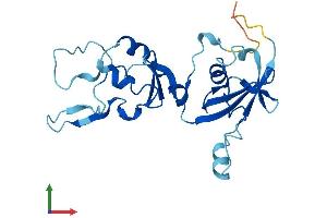 AlphaFold protein structure predicition of Human Recombinant CYB5D1 Protein, UniprotID Q6P9G0