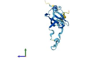 AlphaFold protein structure predicition of Mouse Recombinant Pdzd11 Protein, UniprotID Q9CZG9