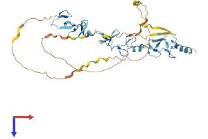 AlphaFold protein structure predicition of Mouse Recombinant Fblim1 Protein, UniprotID Q71FD7