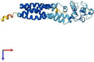 AlphaFold protein structure predicition of Human Recombinant UPK1A Protein, UniprotID O00322