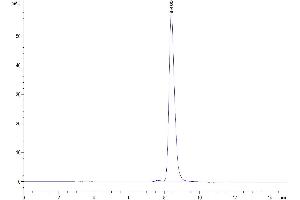 The purity of Human BACE-1 is greater than 95 % as determined by SEC-HPLC. (BACE1 Protein (AA 22-457) (His tag))