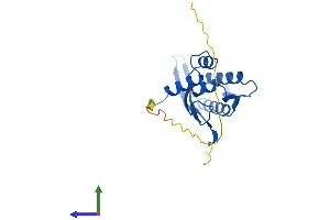 AlphaFold protein structure predicition of Human Recombinant SNX10 Protein, UniprotID Q9Y5X0