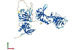 AlphaFold protein structure predicition of Mouse Recombinant Pot1 Protein, UniprotID Q91WC1