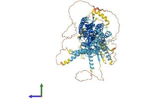 AlphaFold protein structure predicition of Mouse Recombinant Ano2 Protein, UniprotID Q8CFW1