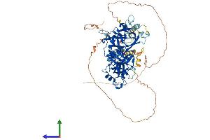 AlphaFold protein structure predicition of Human Recombinant L3MBTL2 Protein, UniprotID Q969R5