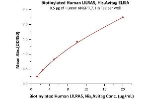 Immobilized Human ANGPTL7, His Tag (ABIN5526615,ABIN6809995) at 5 μg/mL (100 μL/well) can bind Biotinylated Human LILRA5, His,Avitag (ABIN5955021,ABIN6253650) with a linear range of 1. (LILRA5 Protein (AA 42-268) (His tag,AVI tag,Biotin))
