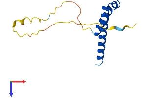 AlphaFold protein structure predicition of Human Recombinant CDK2AP1 Protein, UniprotID O14519