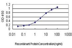 Detection limit for recombinant GST tagged PTK2B is approximately 0. (PTK2B anticorps  (AA 682-871))
