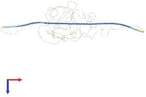 AlphaFold protein structure predicition of Human Recombinant MTUS2 Protein, UniprotID Q5JR59