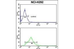 TAGLN Antibody (C-term) (ABIN390627 and ABIN2840932) flow cytometric analysis of NCI- cells (bottom histogram) compared to a negative control cell (top histogram).