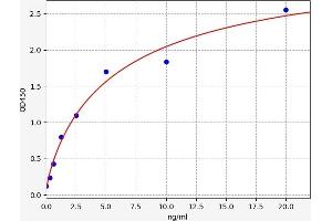 Ribonuclease T2 (RNASET2) ELISA Kit
