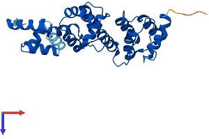 AlphaFold protein structure predicition of Mouse Recombinant Dcun1d2 Protein, UniprotID Q8BZJ7