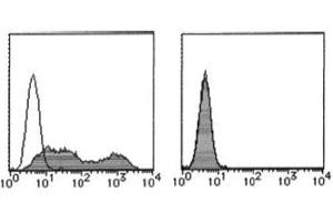 Flow Cytometry (FACS) image for anti-Podoplanin (PDPN) antibody (FITC) (ABIN2853606) (Podoplanin anticorps  (FITC))