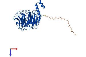 AlphaFold protein structure predicition of Human Recombinant ERCC8 Protein, UniprotID Q13216