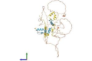 AlphaFold protein structure predicition of Human Recombinant SP9 Protein, UniprotID P0CG40