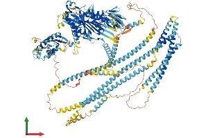 AlphaFold protein structure predicition of Mouse Recombinant Kif16b Protein, UniprotID B1AVY7