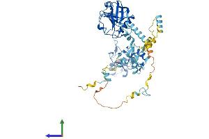AlphaFold protein structure predicition of Human Recombinant PPIL2 Protein, UniprotID Q13356