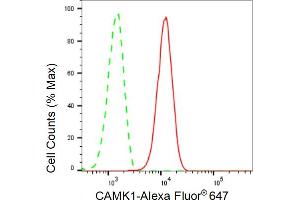 Flow cytometric analysis of CAMK1 expression in C2C12 cells using CAMK1 antibody (ABIN7797830), 1:2,000). (Recombinant CAMK1 anticorps)