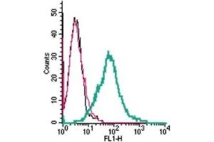 Cell surface detection of 5HT2A Receptor (HTR2A) by indirect flow cytometry in live intact human MEG-01 megakaryoblastic leukemia cells: (black line) Cells.