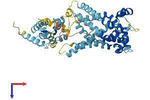 AlphaFold protein structure predicition of Human Recombinant SLC25A23 Protein, UniprotID Q9BV35