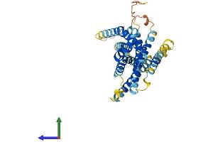 AlphaFold protein structure predicition of Human Recombinant GPR146 Protein, UniprotID Q96CH1