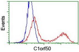 HEK293T cells transfected with either RC200134 overexpress plasmid (Red) or empty vector control plasmid (Blue) were immunostained by anti-C1orf50 antibody (ABIN2454603), and then analyzed by flow cytometry. (C1ORF50 anticorps)