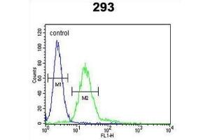 Flow Cytometry (FACS) image for anti-Membrane Protein, Palmitoylated 6 (MAGUK P55 Subfamily Member 6) (MPP6) antibody (ABIN3004081)