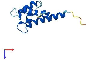 AlphaFold protein structure predicition of Human Recombinant S100A11 Protein, UniprotID P31949
