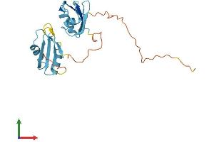AlphaFold protein structure predicition of Human Recombinant SRSF9 Protein, UniprotID Q13242