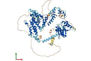 AlphaFold protein structure predicition of Mouse Recombinant Kat2b Protein, UniprotID Q9JHD1