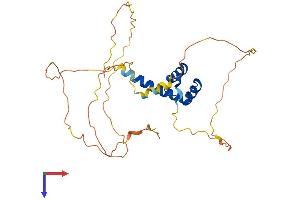 AlphaFold protein structure predicition of Mouse Recombinant Hoxc11 Protein, UniprotID P31313