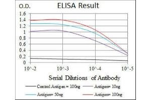 ELISA image for anti-Frizzled Family Receptor 5 (FZD5) (AA 151-217) antibody (ABIN1844331) (FZD5 anticorps  (AA 151-217))