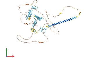 AlphaFold protein structure predicition of Human Recombinant ZNF384 Protein, UniprotID Q8TF68