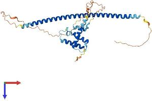 AlphaFold protein structure predicition of Mouse Recombinant Naif1 Protein, UniprotID Q6PFD7