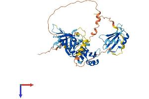 AlphaFold protein structure predicition of Human Recombinant RBM45 Protein, UniprotID Q8IUH3