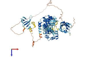AlphaFold protein structure predicition of Mouse Recombinant Smurf1 Protein, UniprotID Q9CUN6